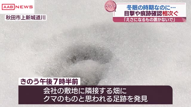 秋田県内、年始もクマ目撃相次ぐ：道路を横断する姿も